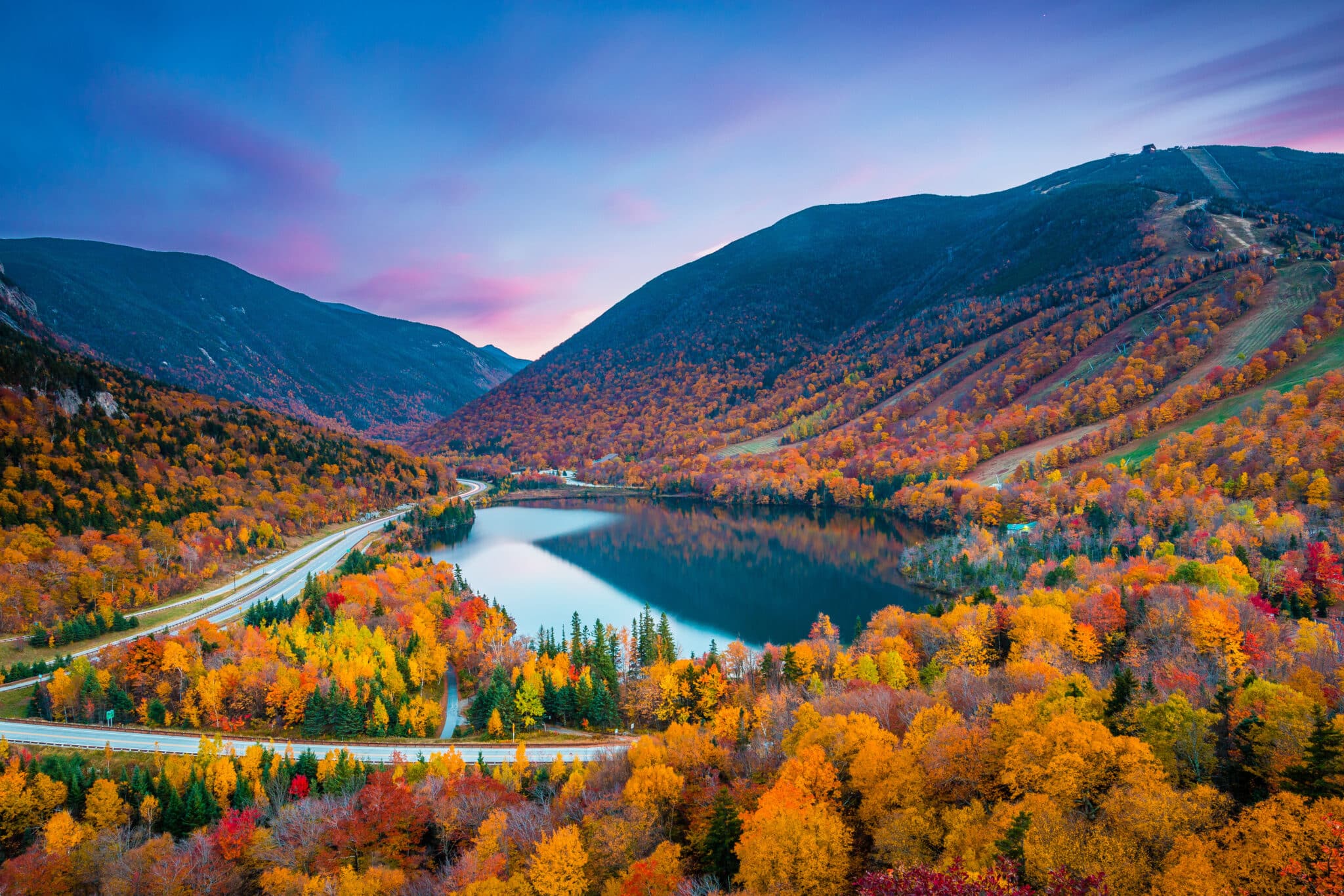 new hampshire marketing agency fall colors trees